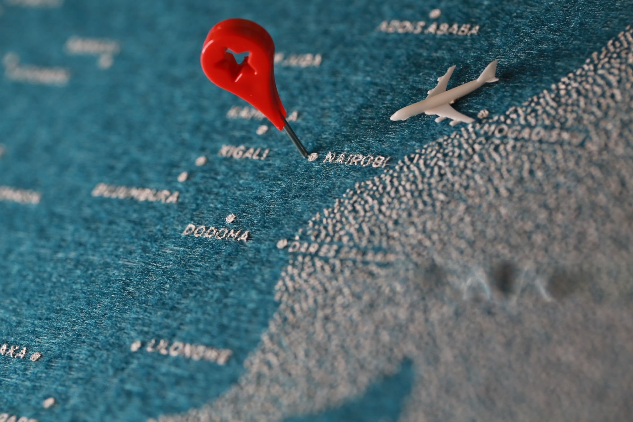 Immigration Law